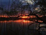 Lake sunset