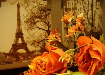 Eiffel Tower... - paris, memories, eiffel tower, roses