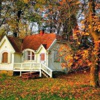 Beautiful small forest house