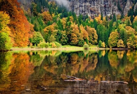 Fall colors of black forest - lakeshore, nice, riverbank, peaceful, black, rocks, calm, fall, quiet, reflection, river, cliffs, lake, mountain, falling, shore, lovely, slopes, serenity, nature, forest, beautiful, leaves, stones