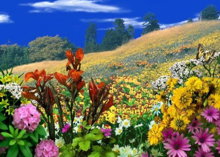 Floral slope - nice, slope, sky, fresh, freshness, mountain, colorful, summer, lovely, peak, nature, pretty, clouds, blue, beautiful, flowers