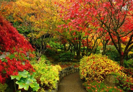 Autumn park - falling, forest, fall, path, foliage, beautiful, leaves, alleys, nice, lovely, nature, park, autumn, colorful