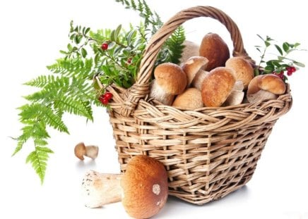 A SMALL GIFT - berries, quaint, wicker, ferns, gifts, food, mushrooms, baskets