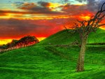 sensational hillside sunset hdr