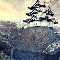 ancient japanese castle in spring