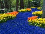 Floral River of Blue