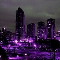 Purple City Lights