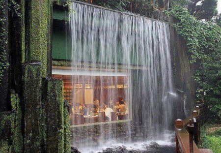 Waterfall Dining - greenery, nature, waterfall, restaurant