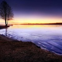 Shattered Along the Shoreline