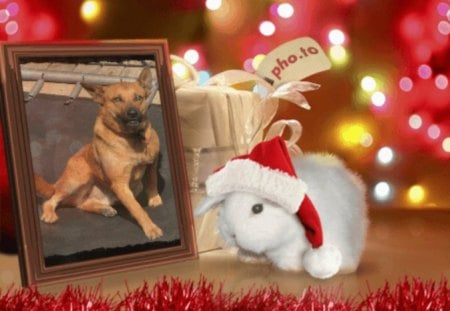 Merry Christmas Ruff Ruff - dogs, holiday, rabbits, christmas