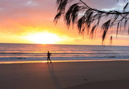 Walk Along The Ocean At Sunset - palm tree, beach, sunset, ocean, nature