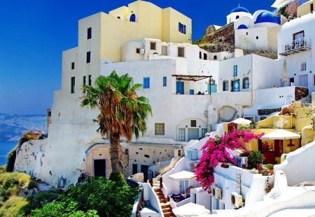 Santorini, Greece - splendor, flowers, view, greece, paradise, houses, sky, house, palms, beautiful, sea, summer time, beauty, resort, lovely, architecture, tree, palm, santorini, sumer, nature, peaceful