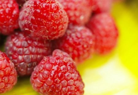 Spring is here - abstract, nature, raspberry, photography, eating, hd, fruits, wallpaper