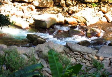 Streams - grasses, sunny, streams, rocks, leaves