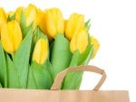 * Yellow tulips *