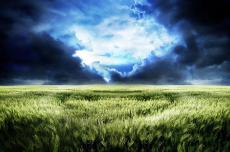 a storm coming - storm, clouds, field, wheat