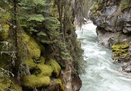 johnston canyon in banff np canada - river, trees, gorge, canyon