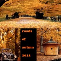 Autumn series  --Roads of Autumn1