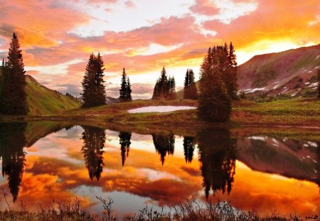 beautiful reflection of golden sunset - trees, reflection, clouds, sunset, pond