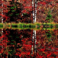 AUTUMN REFLECTION