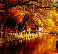 AUTUMN RIVER