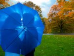 BLUE UMBRELLA