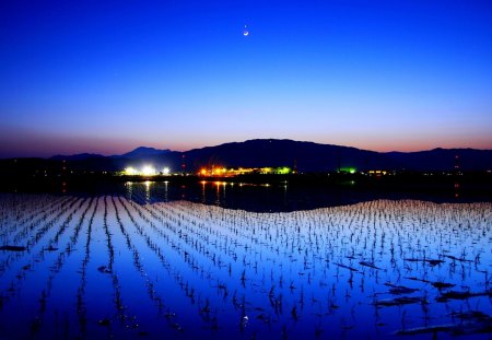 LIGHTED NIGHT - moon, lake, mountain, light, night, city