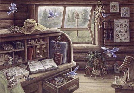 THE BIRD HOUSE ! - bird, bird house, cabin, window