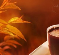 Hot Chocolate On An Autumn Day~Perfect!