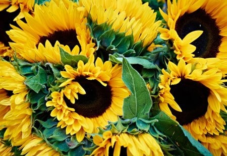 Bunch of happinessâ™¥ - bunch, happy, flowers, bouquet, love, warmth, yellow, forever, fresh, bright, light, sunflowers, nature, sunshine, green