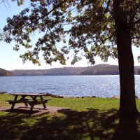 Lonely Picnic Table In October