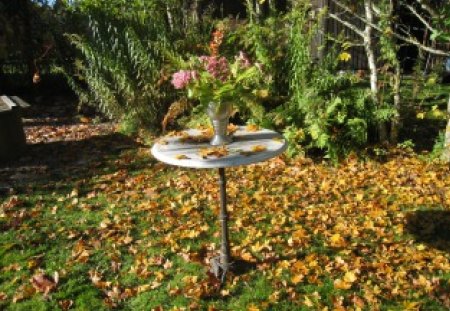 Autumn in my garden - autumn, table, leaf, flowers, colors, grass, vase