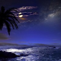 Full Moon on Tropical Beach