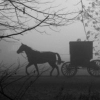 black and white carriage