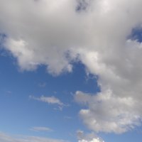 Monster Cloud