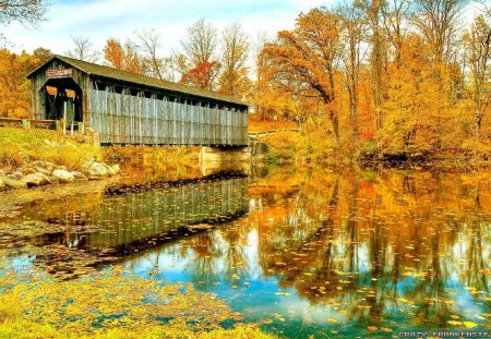 Old Bridge Over the River - autumn, sky, trees, daylight, day, water, nature, yellow, reflection, river, architecture, leaves, orange, bridge