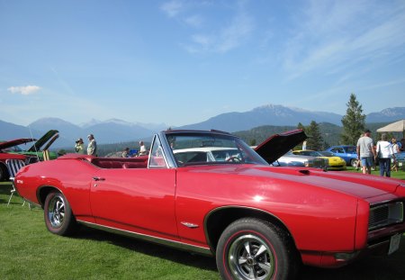 1969 Pontiac GTO muscle car - black, trees, tires, red, green, Photography, mountains, Pontiac