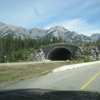 Majestic mountains in Kootenay BC - Canada