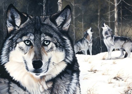 The Lone Howler - wolf, art, lone wolf, snow, grey wolf