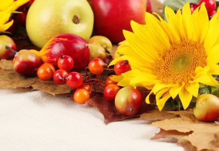 Autumn - sunflower, jesienne, apples, fall, natura, kwiaty, leaves, martwa, owoce