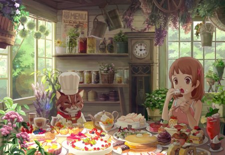 Mr. Cats Treat!! - girl, sweets, cake, restaurant