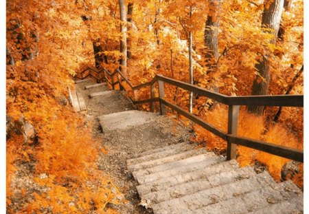 stears trough autumn..... - nature, stears, autumn season, park garden