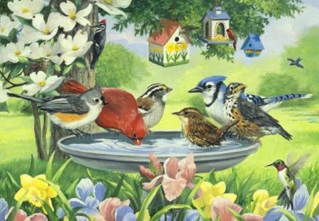 PARADISE FOR BIRDS - feeders, birds, birdhouses, garden