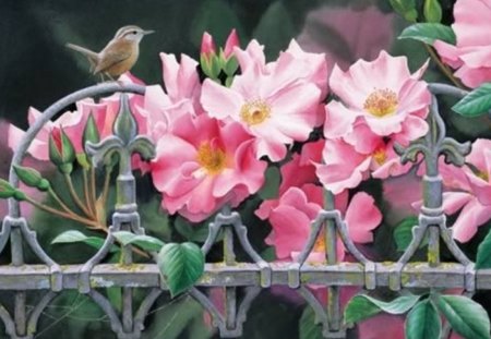 BIRD ON THE FENCE - bird, fence, pink flowers, garden