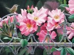 BIRD ON THE FENCE