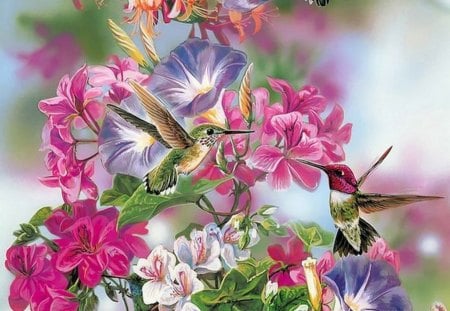 Hummingbirds in the flowers