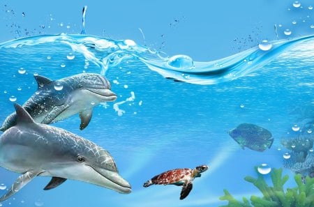 Underwater Play - ocean, swimming, water, bubbles, plants, turtle, blue, dolphins, fish, sea