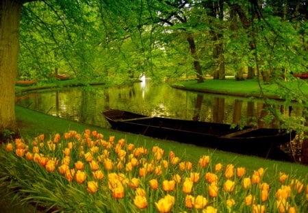 River in park - pretty, yellow, amazing, boat, grass, reflection, flowers, nice, canoe, greenery, trees, water, beautiful, small, lovely, river, tulips, nature, green, park