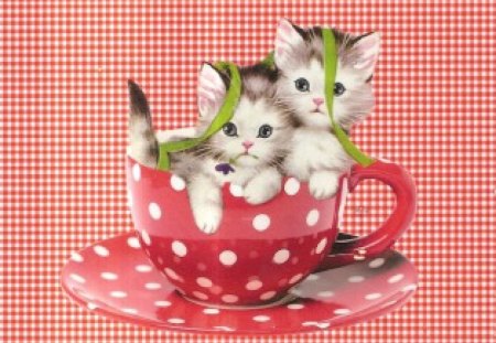 More polka dotsâ™¥ - love, polka dots, animals, kittens, white, forever, cats, red, green