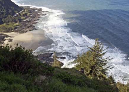 Along The Shore - cliffs, ocean, sand, tree